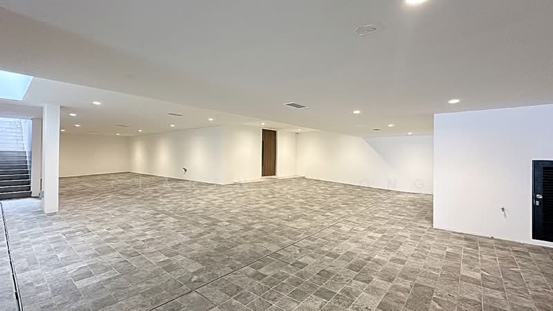 Binjai Vicinity Bukit Timah Detached Bungalow 1km to MGS Brand New Detached House For Sale at S$ 16,980,000 | PropertyGuru Singapore - Basement