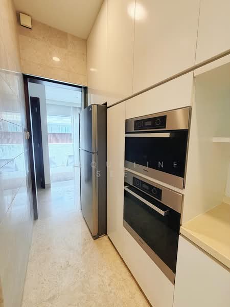 Goodman Road Vicinity Semi-Detached House For Sale at S$ 8,800,000 | PropertyGuru Singapore - Kitchen