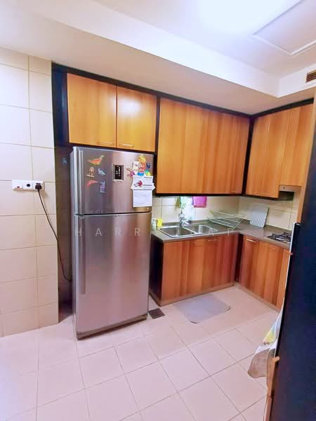 Valley Park Condominium For Sale at S$ 3,800,000 | PropertyGuru Singapore - Kitchen