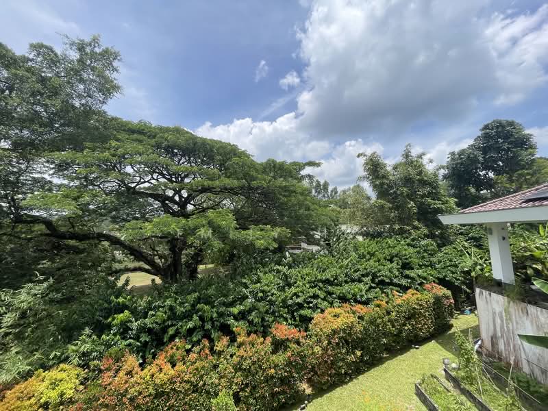 GCB with Lush Greenery View!! Good Class Bungalow For Sale at S$ 43,000,000 | PropertyGuru Singapore - Exterior