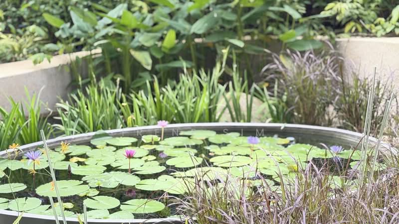 AMO Residence Condominium For Sale at S$ 1,860,000 | PropertyGuru Singapore - Lotus Pond & Garden