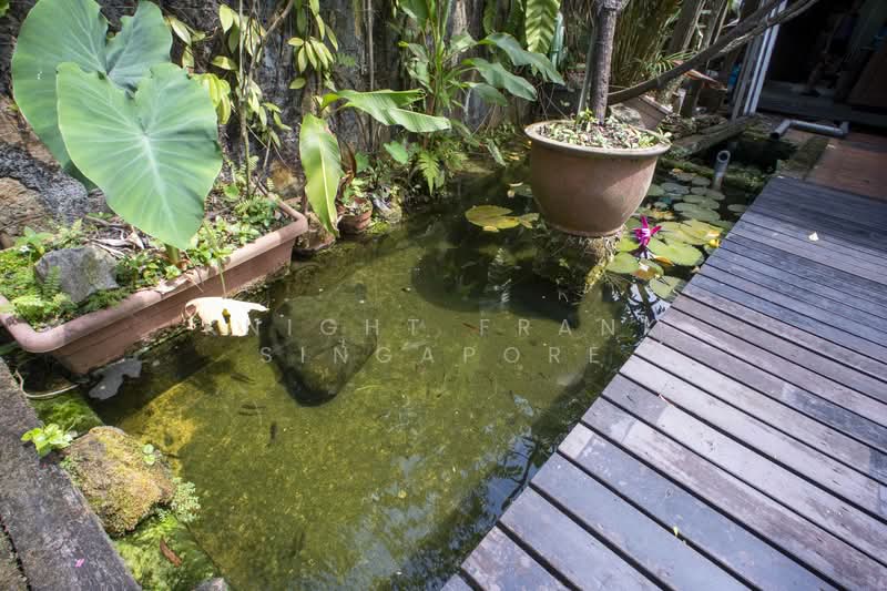 Choon Sing Garden / Jalan Binchang / Bishan - Semi-D Semi-Detached House For Sale at S$ 9,000,000 | PropertyGuru Singapore - Garden