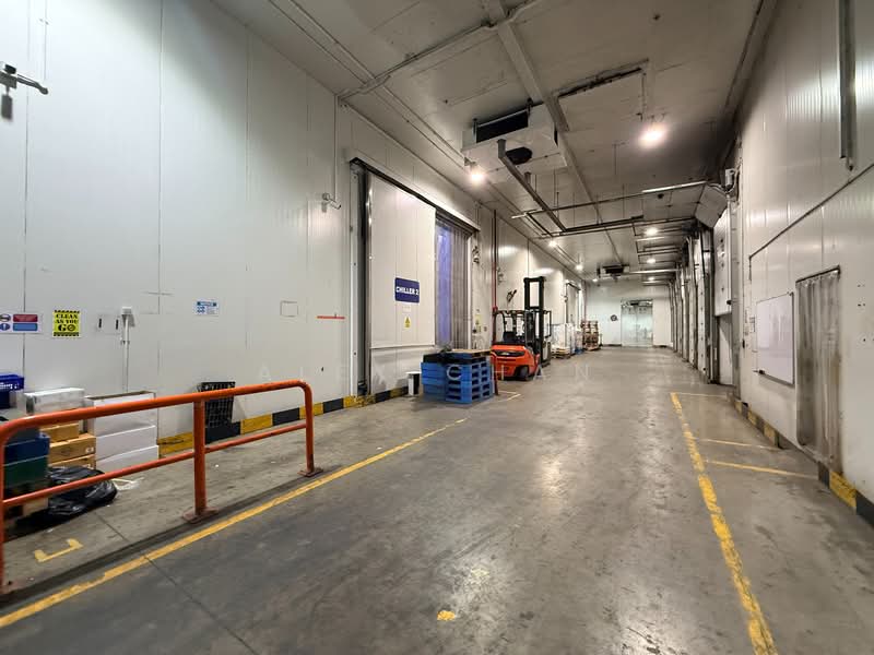 Cheap | Food Zone | Freezer & Chiller | Ramp Up | Rackings | 10m Ceiling, Jurong, 87,000 sqft, Warehouse For Rent, by Alex Chan, 500076670 - Interior - CommercialGuru.com.sg