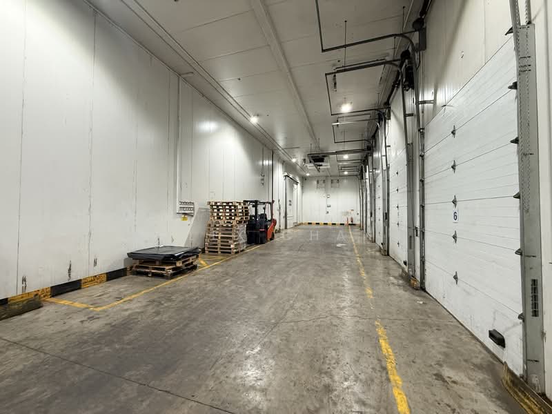 Cheap | Food Zone | Freezer & Chiller | Ramp Up | Rackings | 10m Ceiling, Jurong, 87,000 sqft, Warehouse For Rent, by Alex Chan, 500076670 - Interior - CommercialGuru.com.sg