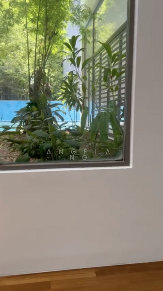 Modern Bukit Timah Road / Kheam Hock Bungalow, , 5 Bedrooms, 7,100 sqft, Detached House For Rent, by Angela Ng, 500076721 - Garden - PropertyGuru.com.sg