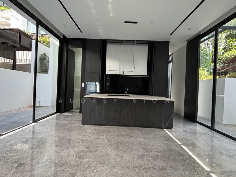 Holland Vicinity New Detached with Lift & Pool Detached House For Sale at S$ 18,800,000 | PropertyGuru Singapore - Kitchen