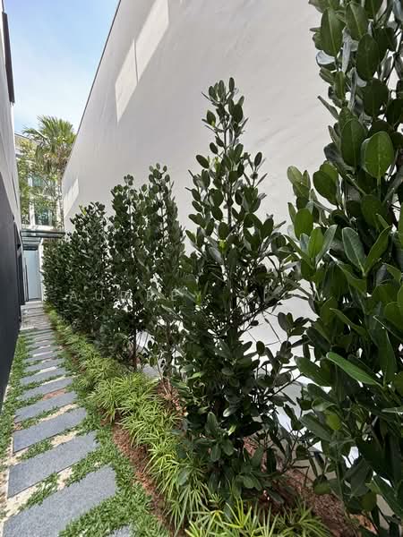 Holland Vicinity New Detached with Lift & Pool Detached House For Sale at S$ 18,800,000 | PropertyGuru Singapore - Exterior