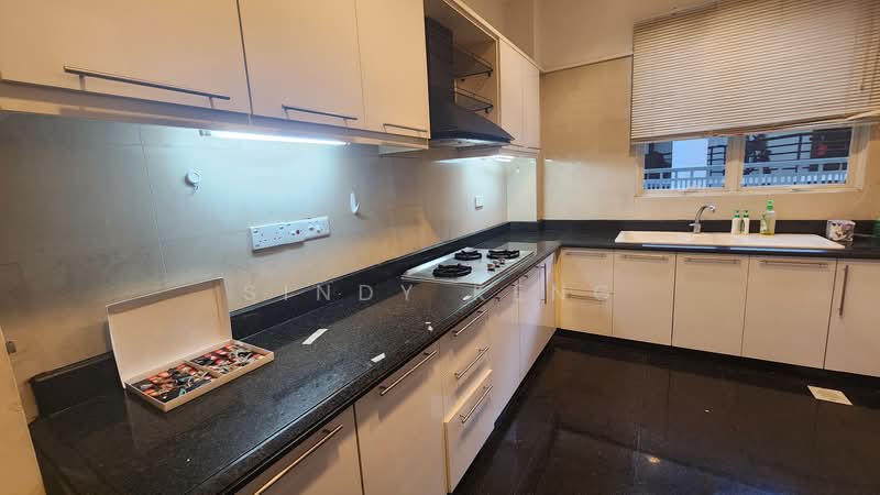 Bukit Timah Greenwood crescent Bungalow with pool, Greenwood Crescent, 7 Bedrooms, 6,814 sqft, Detached House For Rent, by Sindy Keng, 500077189 - Kitchen - PropertyGuru.com.sg