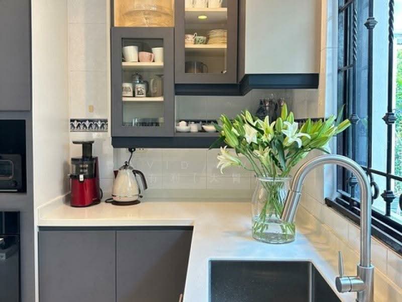 20m Frontage Move in Cond Big Garden Park 7 cars 1 Km Nyps Call davidgwee 81394988 Now! Detached House For Sale at S$ 19,800,000 | PropertyGuru Singapore - Kitchen