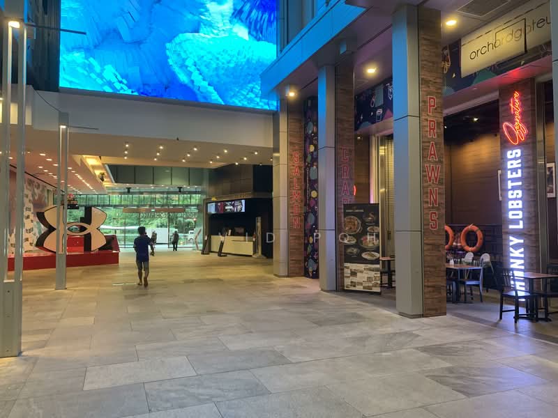 Orchard Gateway, 218 Orchard Road, 452 sqft, Mall Shop For Rent, by David Poh, 500077430 - Exterior - CommercialGuru.com.sg