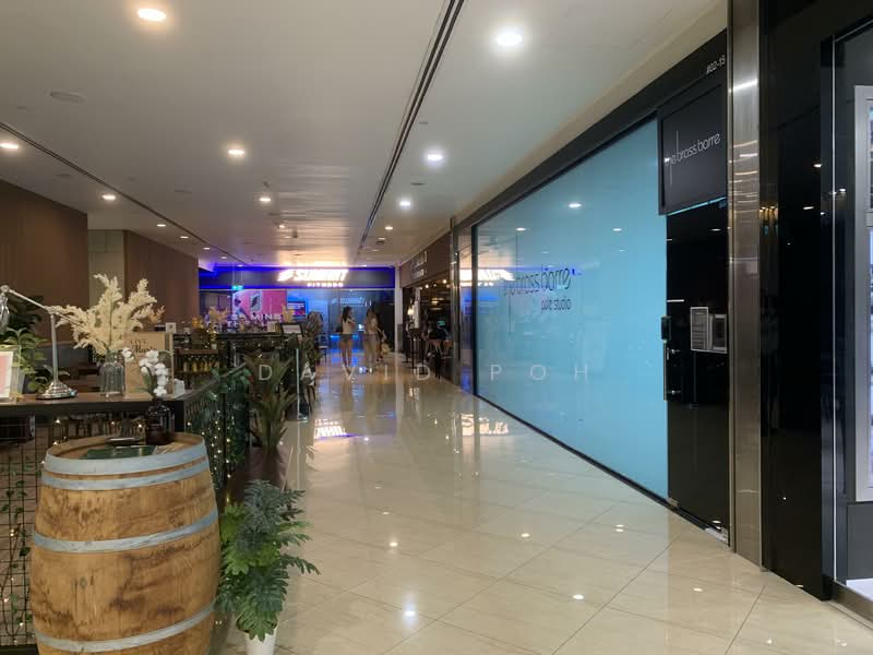 Orchard Gateway, 218 Orchard Road, 452 sqft, Mall Shop For Rent, by David Poh, 500077430 - Corridor - CommercialGuru.com.sg
