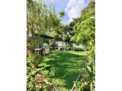 For Rent - Semi D along Ang Mo Kio