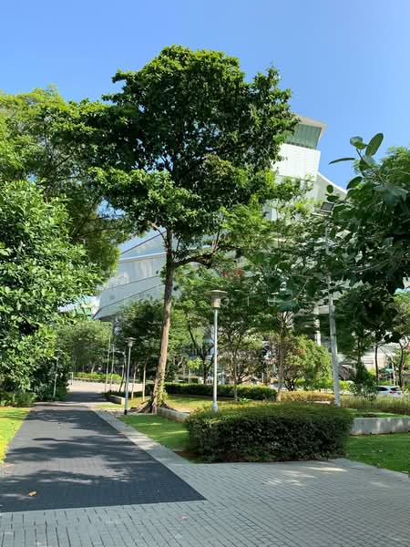 14 Dover Close East, 14 Dover Close East, Room Rental, 220 sqft, HDB Flat For Rent, by Eva Qiu, 500077672 - Exterior - PropertyGuru.com.sg