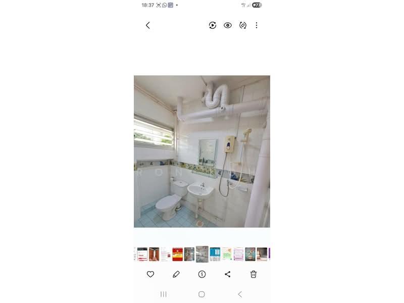 30 Holland Close, 30 Holland Close, Room Rental, 150 sqft, HDB Flat For Rent, by Ron Koh, 500077763 - Bathroom - PropertyGuru.com.sg