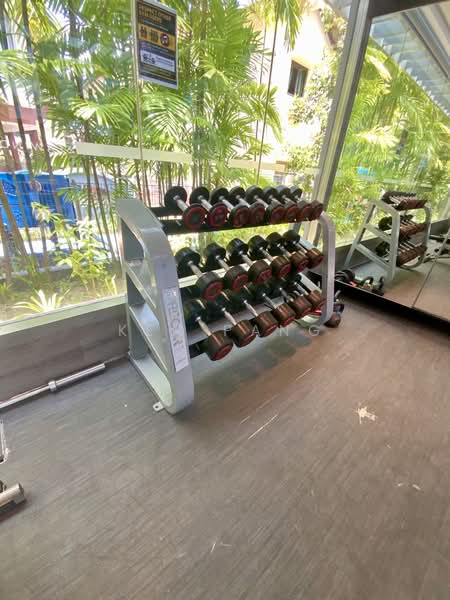 The Seawind @ Telok Kurau Condominium For Sale at S$ 1,328,888 | PropertyGuru Singapore - Gym