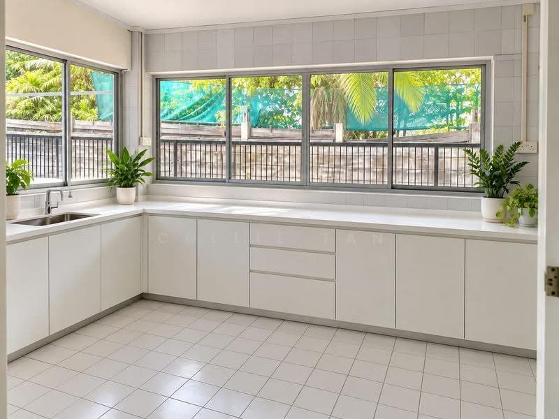 Telok Kurau Lor J, East Coast / Marine Parade, 7 Bedrooms, 3,500 sqft, Detached House For Rent, by Callie Tan, 500078437 - Kitchen - PropertyGuru.com.sg
