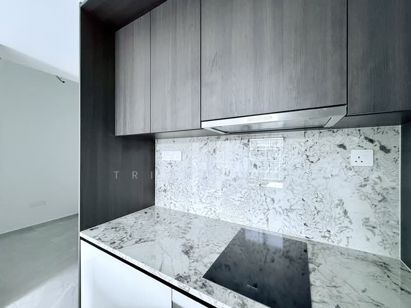 Tembusu Grand, 98 Jalan Tembusu, 2 Bedrooms, 883 sqft, Condominium For Rent, by Tricia Ong, 500078497 - Kitchen - PropertyGuru.com.sg