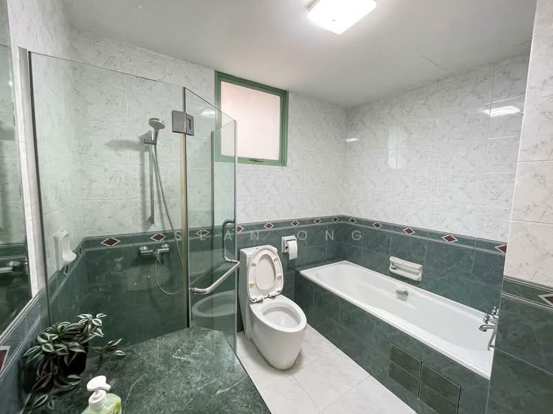 Tiara, 1 Kim Seng Walk, Room Rental, 180 sqft, Apartment For Rent, by Sean Ong, 500078510 - Bathroom - PropertyGuru.com.sg