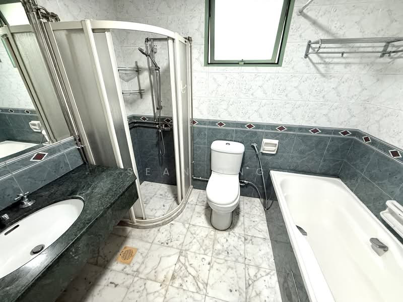 Tiara, 1 Kim Seng Walk, Room Rental, 180 sqft, Apartment For Rent, by Sean Ong, 500078510 - Bathroom - PropertyGuru.com.sg