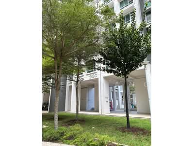 For Sale - 269C Punggol Field