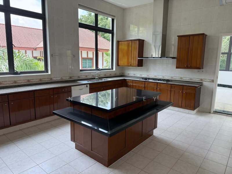 Peirce Villas, 4 Peirce Hill, 6 Bedrooms, 10,672 sqft, Detached House For Rent, by Nancy Tey, 500078610 - Kitchen - PropertyGuru.com.sg