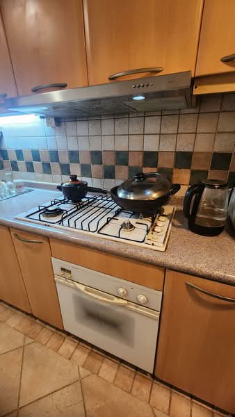 Emerald Garden, 33 Club Street, Room Rental, 150 sqft, Condominium For Rent, by Thomas Ang 洪瑞兴, 500078682 - Kitchen - PropertyGuru.com.sg
