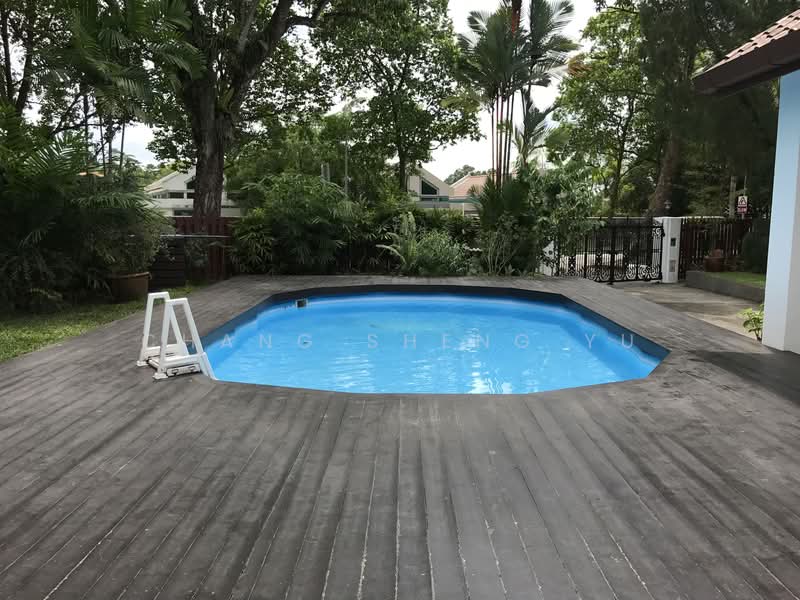 446 Holland Road Detached House For Sale at S$ 21,000,000 | PropertyGuru Singapore - Pool