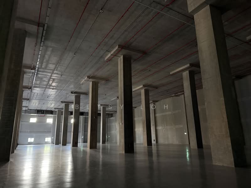 Ground Floor High Ceiling 12m, High Power 1600 A, Floor Loading 25Kn/m2, Jurong East, 88,000 sqft, Warehouse For Rent, by Betsy Loh, 500078920 - Interior - CommercialGuru.com.sg