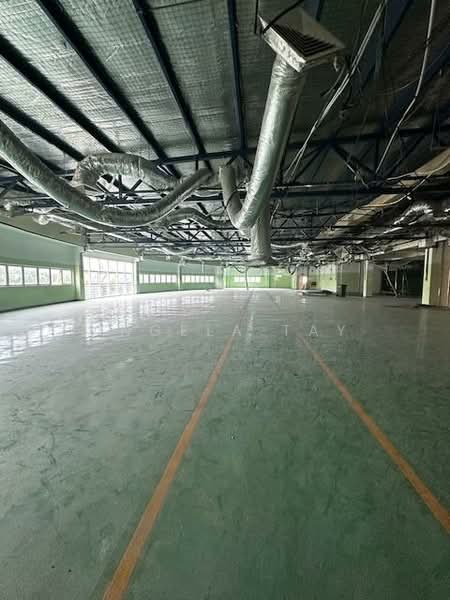 Changi South Ave 2, Changi South Ave 2, 13,000 sqft, Warehouse For Rent, by Angela Tay, 500079036 - Interior - CommercialGuru.com.sg