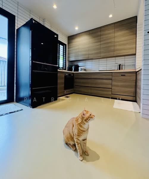 Capitol Park Semi-Detached House For Sale at S$ 13,000,000 | PropertyGuru Singapore - Kitchen