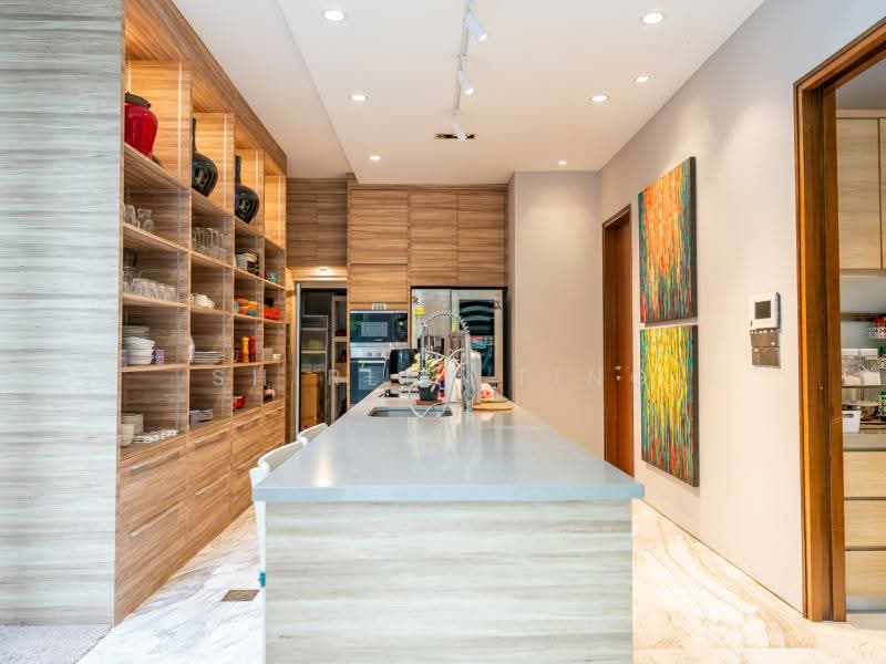 GOOD VALUE! NEW LIST! RENOVATED 2.5 STY WITH BASEMENT DETACHED @ 1KM NANYANG PRI /RAFFLES GIRLS! Detached House For Sale at S$ 14,950,000 | PropertyGuru Singapore - Kitchen