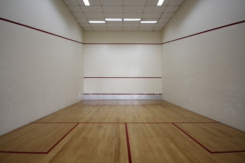 Leonie Condotel, 2 Leonie Hill Road, 2 Bedrooms, 861 sqft, Condominium For Rent, by Eric Gan, 500079216 - Squash Court - PropertyGuru.com.sg