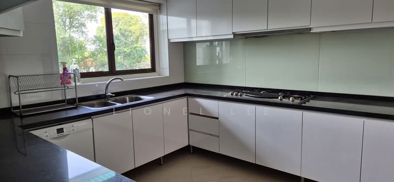 The Arcadia (Arcadia Gardens), 237 Arcadia Road, 4 Bedrooms, 3,800 sqft, Condominium For Rent, by Lionel Lee, 500079438 - Kitchen - PropertyGuru.com.sg