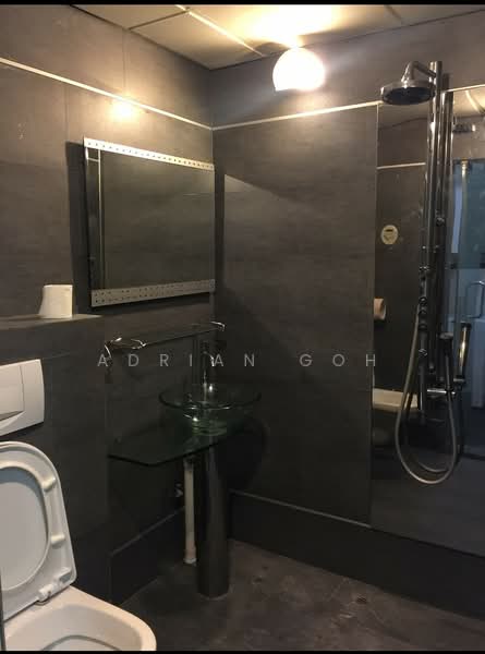 International Plaza, 10 Anson Road, Studio, 431 sqft, Apartment For Rent, by Adrian Goh, 500079490 - Bathroom - PropertyGuru.com.sg