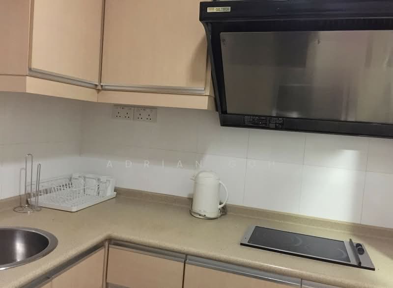 International Plaza, 10 Anson Road, Studio, 431 sqft, Apartment For Rent, by Adrian Goh, 500079490 - Kitchen - PropertyGuru.com.sg
