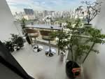 The Interlace