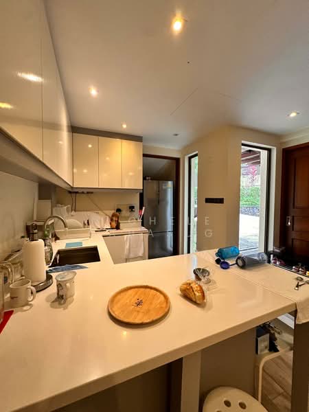Dempsey Hill Good Class Bungalow, Ridout Road, 4 Bedrooms, 6,188 sqft, Good Class Bungalow For Rent, by Michele Cabasug, 500079522 - Kitchen - PropertyGuru.com.sg