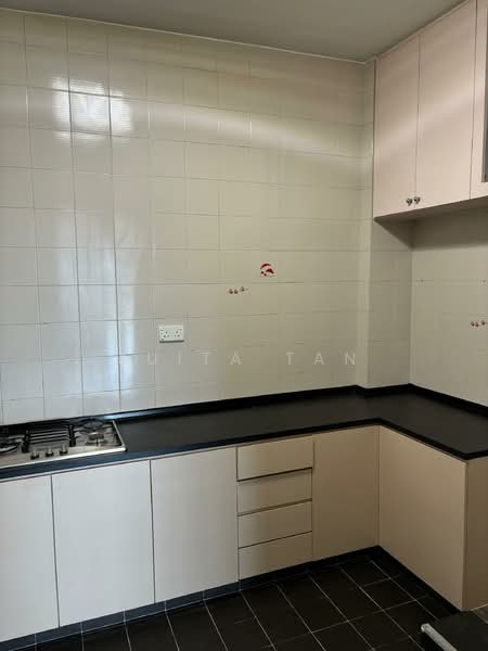 Cavenagh Gardens, 71 Cavenagh Road, Room Rental, 150 sqft, Apartment For Rent, by Juita Tan, 500079584 - Kitchen - PropertyGuru.com.sg