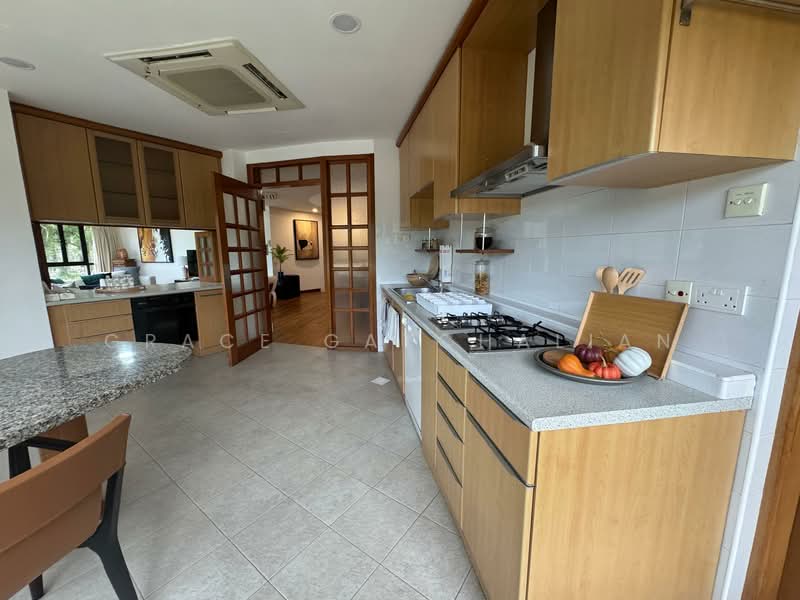 The Draycott Condominium For Sale at S$ 6,340,000 | PropertyGuru Singapore - Kitchen