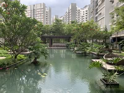 For Rent - Ecopolitan