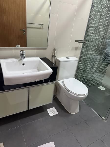 Ritz Regency, 8 Ipoh Lane, Room Rental, 150 sqft, Apartment For Rent, by PETER HO, 500080041 - Bathroom - PropertyGuru.com.sg