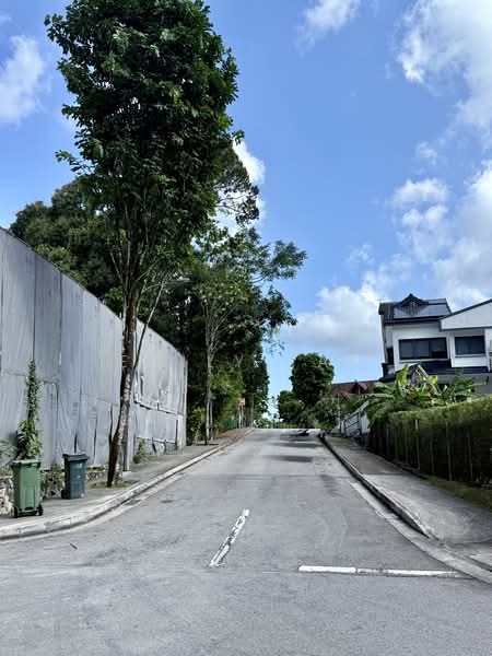 University Rd/ Jalan Bahasa/ Jalan Sejarah/ Kheam Hock Semi-Detached House For Sale at S$ 9,900,000 | PropertyGuru Singapore - Exterior