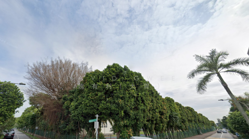 Epr 1.036 Mountbatten Subdivide 2 or 3 NS Facing Detached Call 81394988 Now! Detached House For Sale at S$ 43,230,000 | PropertyGuru Singapore - Exterior