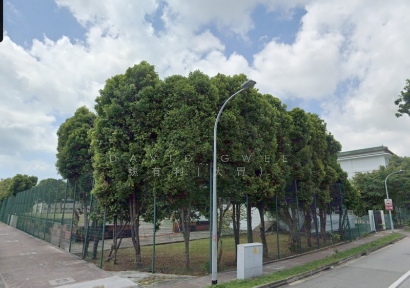 Epr 1.036 Mountbatten Subdivide 2 or 3 NS Facing Detached Call 81394988 Now! Detached House For Sale at S$ 43,230,000 | PropertyGuru Singapore - Exterior