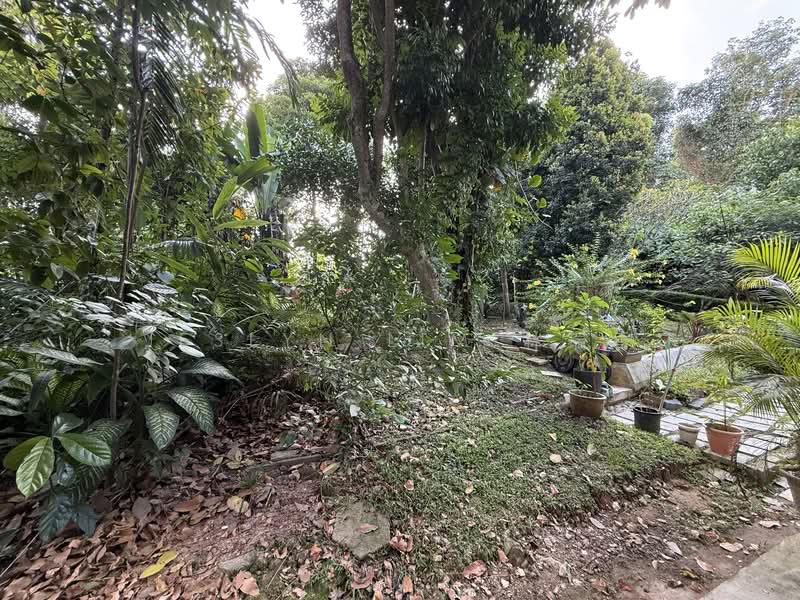 Beautiful 3 Storeys English Designed House Living next to Nature at Swiss View off Bukit Timah Terraced House For Sale at S$ 5,600,000 | PropertyGuru Singapore - Garden