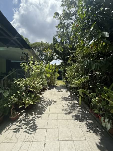 ⭐️5 Mins to MRT Rebuild Potential⭐️ Detached House For Sale at S$ 27,500,000 | PropertyGuru Singapore - Exterior