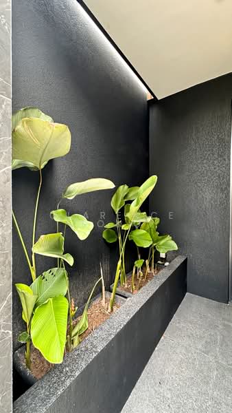 Massive New FH Detached at Holland Grove, 1km to Henry Park Pri, TOP Detached House For Sale at S$ 18,800,000 | PropertyGuru Singapore - Garden Area