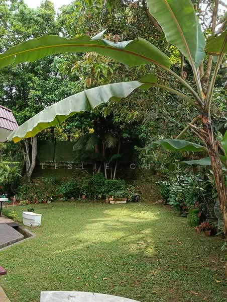 Exclusive Listing! Very Serious Seller! $ 1,113 PSF only!! Freehold Semi D for Sale @ Woodlands Park, Jalan Kasau, 5 Bedrooms, 2,000 sqft, Semi-Detached House For Sale, by Leslie Chan, 500080885 - Garden - PropertyGuru.com.sg
