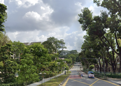 For Sale - Rare Renovated Regular Detached, Mins to Holland V, Within 1km to Henry Park Pri