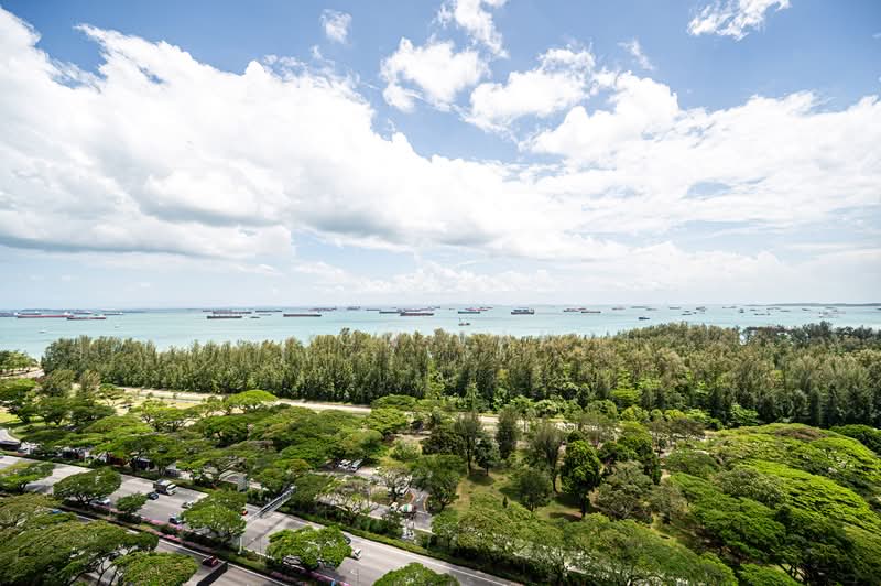 Meyer Mansion Condominium For Sale at S$ 6,088,000 | PropertyGuru Singapore - Balcony View